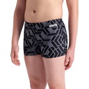 Arena Boys Arena Escape Swim Short