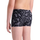 Arena Boys Arena Escape Swim Short