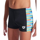 Arena Boys Racing Stripe Swim Short (black-black multi)