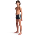 Arena Boys Racing Stripe Swim Short (black-black multi)