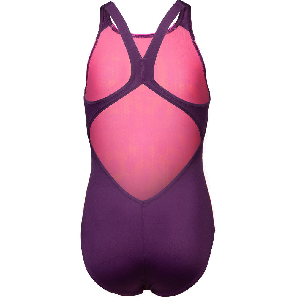 Arena Girls Multi Colours Swimsuit V Back (plum)