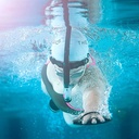Magic5 Snorkel