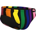 Arena Mens Painters Stripe Swim Briefs (black multi-black)