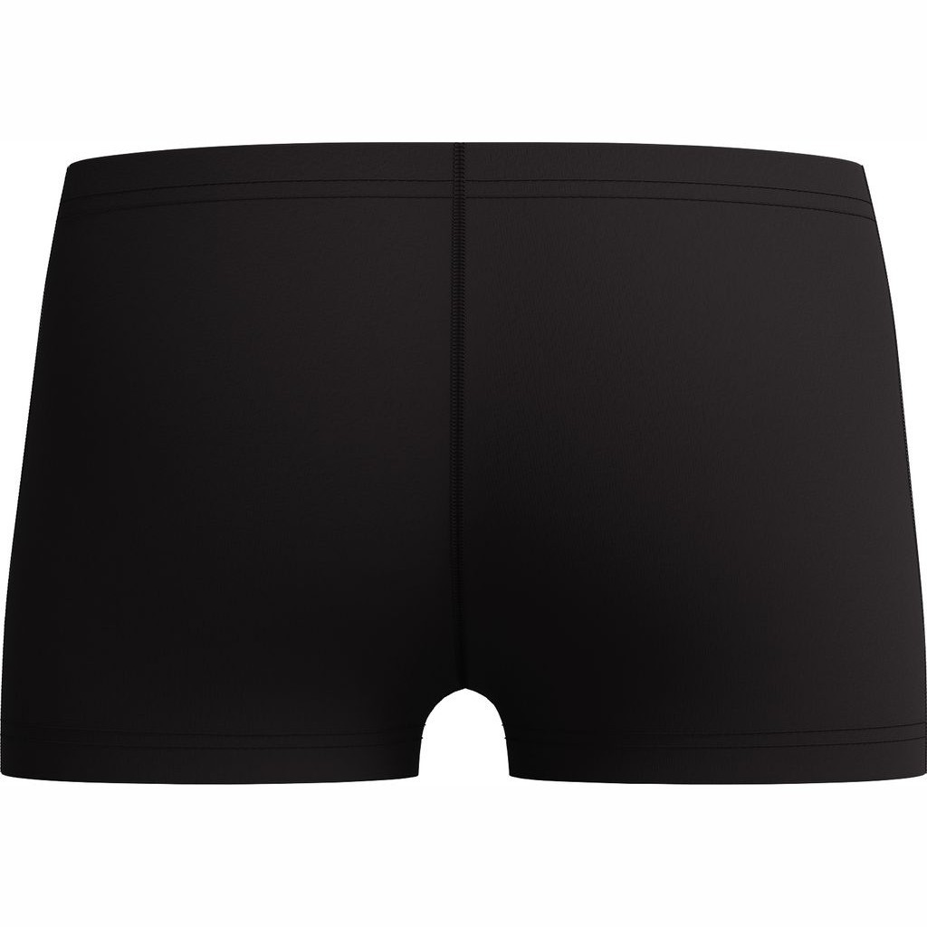 speedo-boys-medley-logo-aquashort-v5.jpg