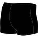 speedo-mens-eco-end-aquashort-black-v3.jpg