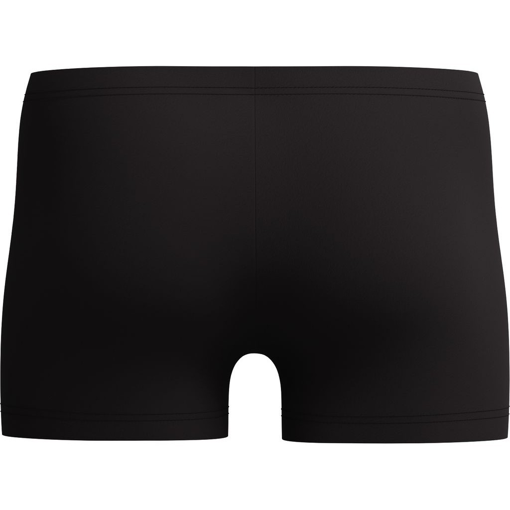 speedo-mens-medley-logo-aquashort-v5.jpg