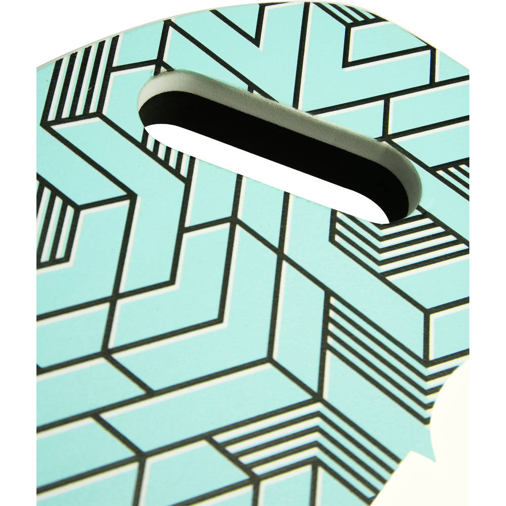 Arena Printed Kickboard