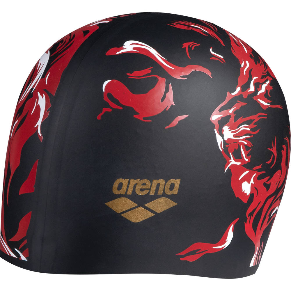 Arena Print 2 Cap