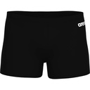 Arena Mens Team Swim Short Solid