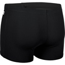Arena Mens Team Swim Short Solid