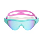 Arena The One Mask Jr Mirror