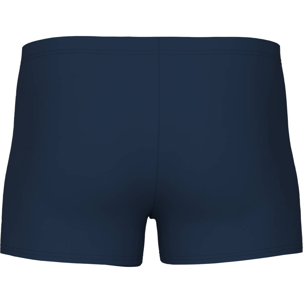 Arena Mens Team Swim Short Solid