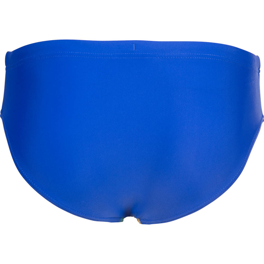 Arena Boys Sticker Swim Briefs (neon blue-multi)