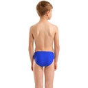 Arena Boys Sticker Swim Briefs (neon blue-multi)