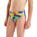 Arena Boys Sticker Swim Briefs (neon blue-multi)
