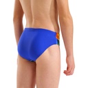 Arena Boys Sticker Swim Briefs (neon blue-multi)