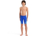 Arena Boys Print Swim Jammer (neon blue-yellow multi)